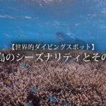 【世界的ダイビングスポット】石垣島のシーズナリティとその魅力