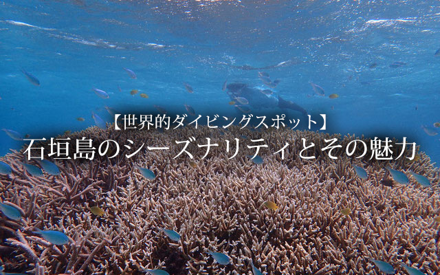 【世界的ダイビングスポット】石垣島のシーズナリティとその魅力