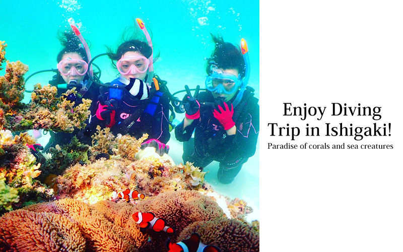 Enjoy Diving Trip in Ishigaki! --- Paradise of corals and sea creatures